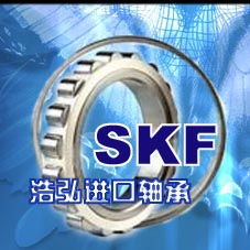 杭州進口軸承型號大全浩弘軸承經銷部SKF-NSK進口軸承批發庫存