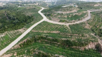 獲6億獎補資金！河南兩項目入選2025年生態(tài)修復(fù)示范工程