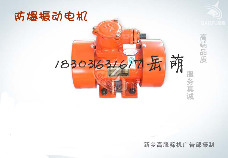 防爆振動電機，高服震動電機，新鄉振動電機廠家
