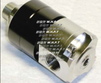 R038-R200不銹鋼旋轉接頭