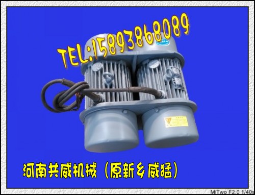 現貨WHZY、WLZD雙胞胎振動電機