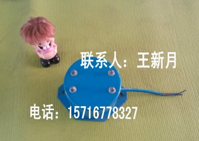 共威機械設備CZ250電磁振動器價格XKZ-5G2			 