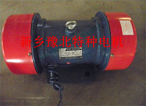 YZS20-2振動(dòng)電機(jī)