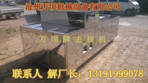 櫻桃去核機(jī)