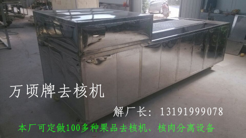 全自動去核機