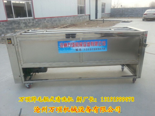 紅棗清洗機