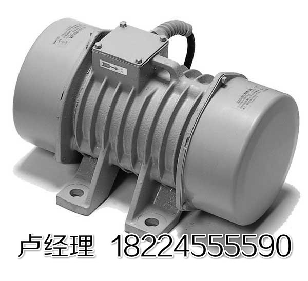 內蒙古振動電機 廣東振動電機 遼寧振動電機