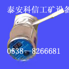單體柱數顯壓力表