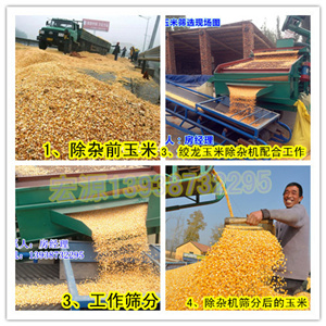芝麻籽出油雜質分離/油菜籽/蓖麻子清雜篩分機/霉粒除雜機