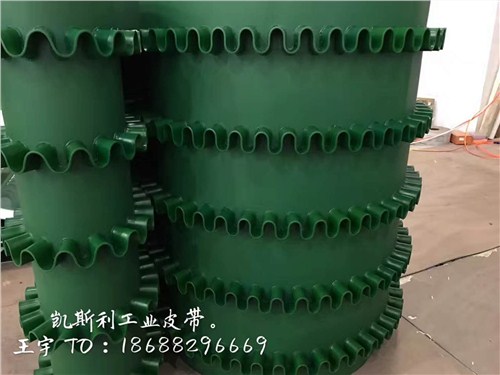 報價合理的食品輸送帶|批發食品輸送帶價位|食品輸送帶廠家直銷|凱斯利供