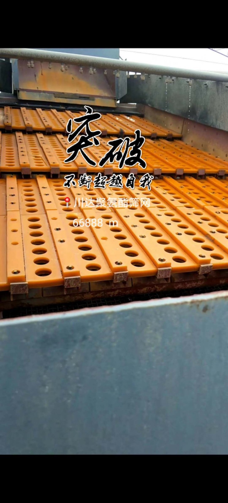 濱州聚氨酯篩網