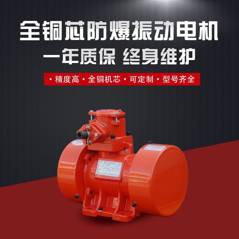 振動源隔爆型三相異步電動機 宏達