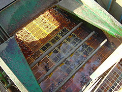 DW-4.jpg