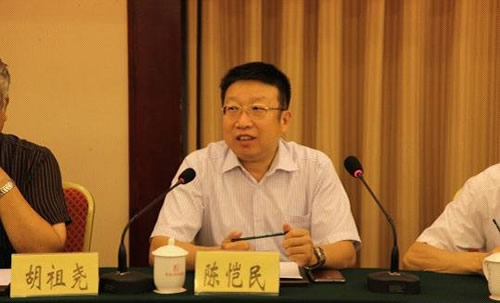 中國砂石協會2012年會長會會議在北京召開工信部原材料司陳愷民處長講話