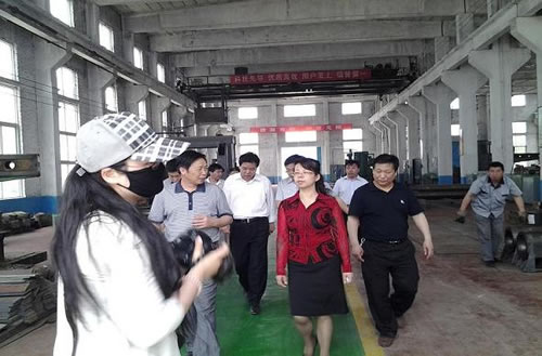 鶴壁市委常委、統(tǒng)戰(zhàn)部長于燕蒞臨太行全利重工調研工作