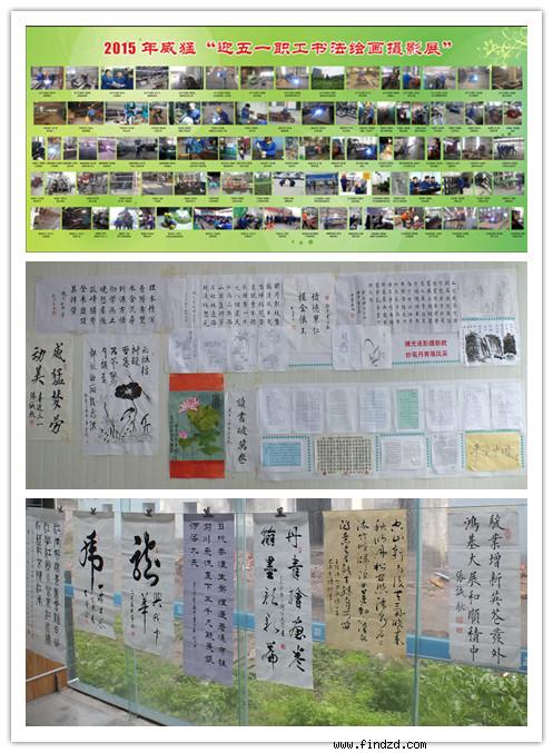 捕光逐影攝新貌 妙筆丹青展風采