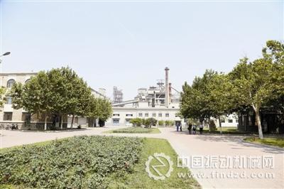 公司廠區如同花園一般,沒有傳統水泥廠塵土飛揚的景象。
