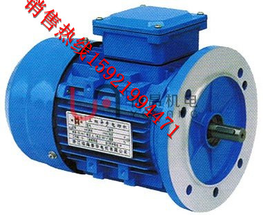 Y2系列B5B14三相異步電動機.jpg