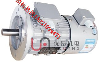 YVF鋁殼變頻調速電機2.jpg