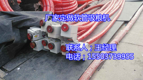 timg (7)_副本.jpg
