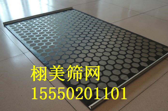 787215.jpg