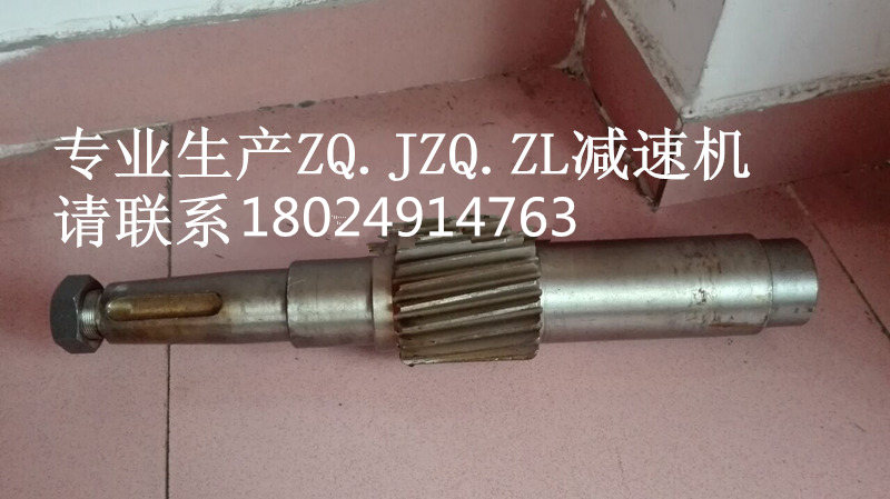 ZQ500輸入軸20齒1_副本.jpg