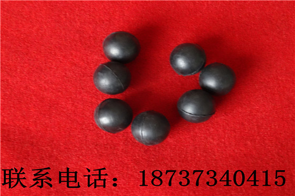 DSC00314.jpg