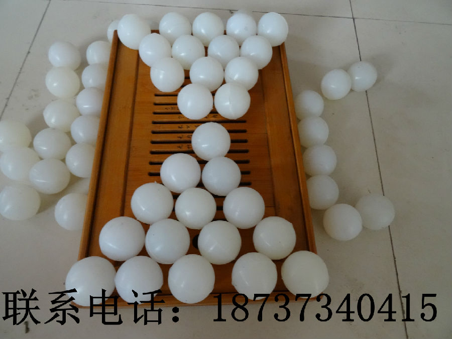 DSC00285.jpg