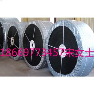 鋼絲繩皮帶16.jpg