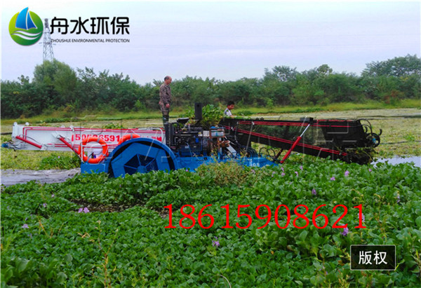 33湖北武漢水葫蘆打撈船 (3).jpg