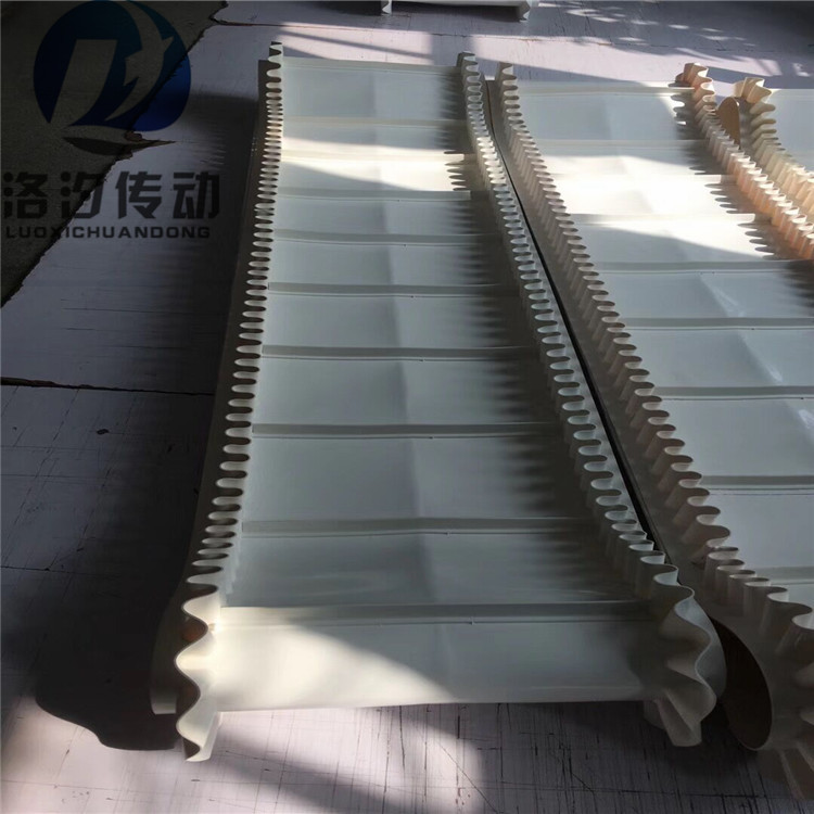 裙邊擋板輸送帶白色 (12).jpg