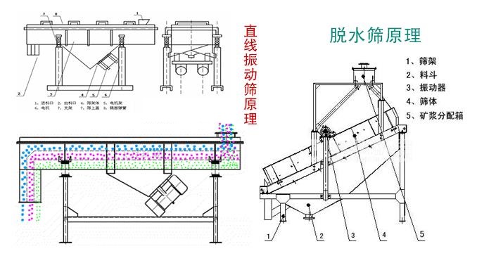 360截圖20210622102128730.jpg