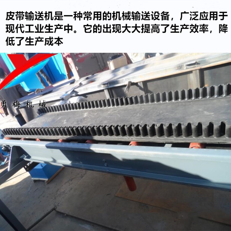 勇梅135940_副本.jpg